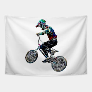 bmx Tapestry