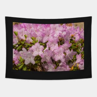 Pink Lilac Rhododendron Flowers Tapestry