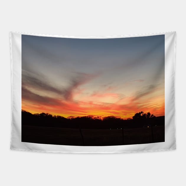 Wispy Sky Tapestry by Texas Skies