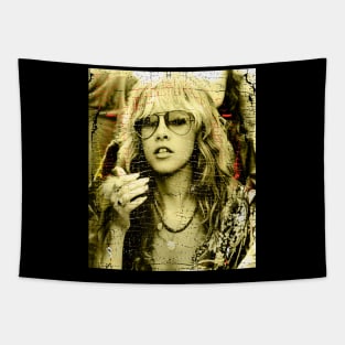 Stevie Nicks Tapestry