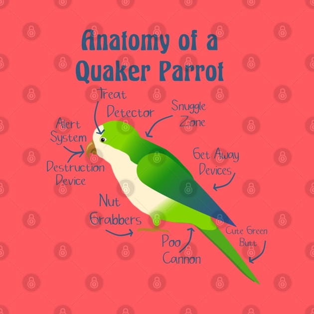 Anatomy of Quaker Parrot Monk Parakeet by Einstein Parrot