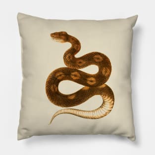 serpent,cobra,reptile,viper,venom,lizard,rattlesnake,king cobra,dragon,hydra,poison,venomous,plumber's snake,pythonidae,pythons,auger,python,squamata,serpentine,worm,big,ophidian,rattlesnakes,medusa,snakebite Pillow