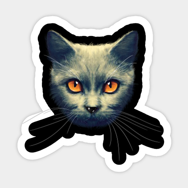 Cat T Shirt Cute Kitty T Shirt 3d Print Your Magic Cat Cat