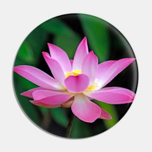 Pink Lotus Flower Pin