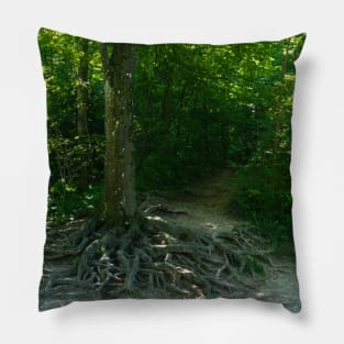 Tree With Roots On The Forest Pillow