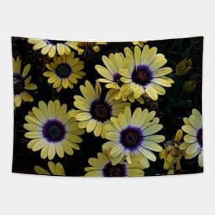 Yellow Flower Bed Photography My Tapestry