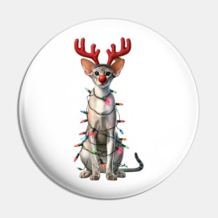 Christmas Red Nose Oriental Shorthair Cat Pin