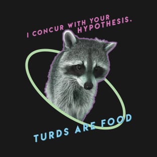 Hypothesis. T-Shirt