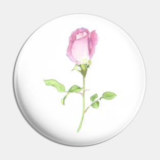 Pink rose, watercolor painting Pin