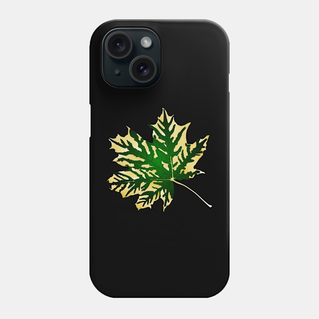 Maple leaf Phone Case by artbyluko