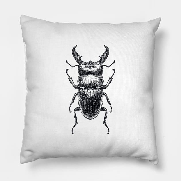 Stag Beetle drawing Pillow by StefanAlfonso