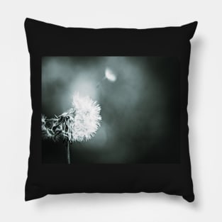 Dandelion Pillow