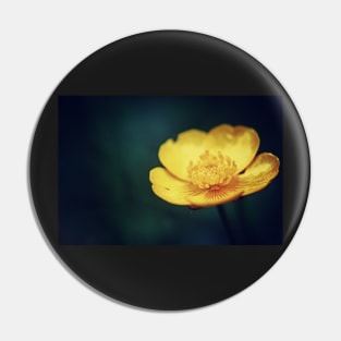 Buttercup flower Pin