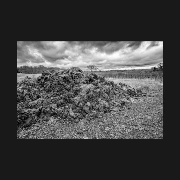 Muck heap in an arable field in the English countryside by yackers1