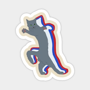 Russian Blue Russia Flag Colors Magnet