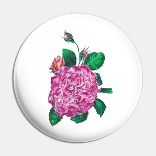 Rose Pin