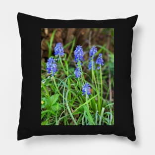 Grape Hyacinth Pillow