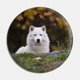 Arctic Wolf Pin