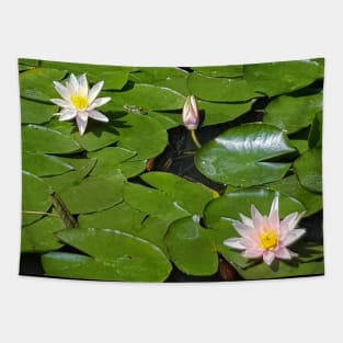 Water lilies Tapestry