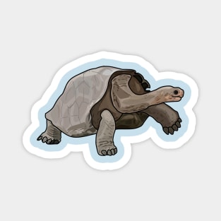 Galapagos tortoise cartoon illustration Magnet