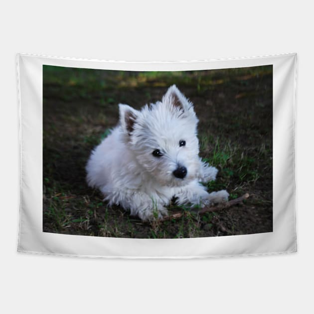 Westie Tapestry by princess-pirate
