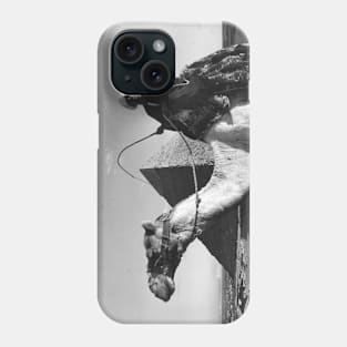 Camel at the Pyramids of Giza Phone Case