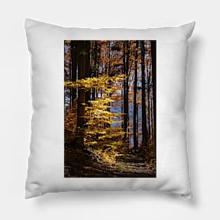 autumn in Forest Pillow