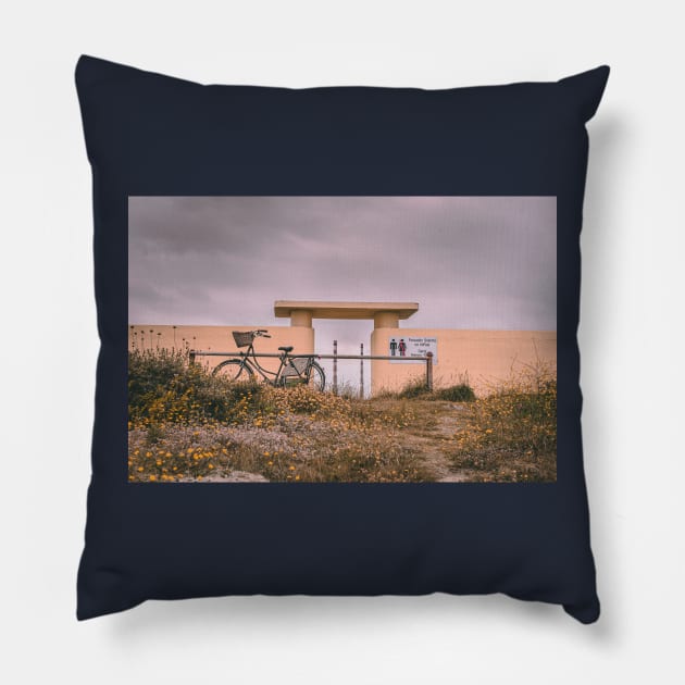 Ladies bike at the gents bathing shelter Pillow by shaymurphy