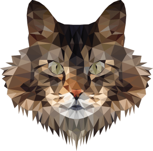 Maine Coon Cat Polygon Art - Coloured Magnet