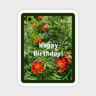 Happy Birthday (orange flowers) Magnet