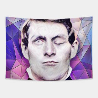 Phineas Gage Pink Portrait | Phineas Gage Artwork 8 Tapestry