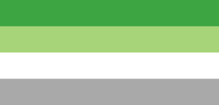 Aromantic flag Magnet