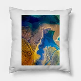 Oil Spill Pillow