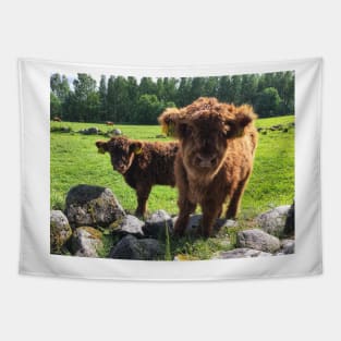 Scottish Highland Cattle Calves 1768 Tapestry