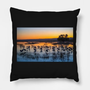 Glorious Sunset Pillow