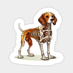 Skeleton Beagle Dog Magnet