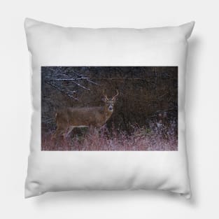 Snowy Buck - White-tailed deer Pillow