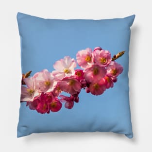 Springtime Pillow