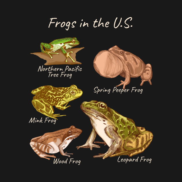 Discover Frogs Species USA Design for Frog Fans - Frog - T-Shirt