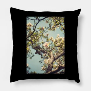 Hint of Spring Pillow