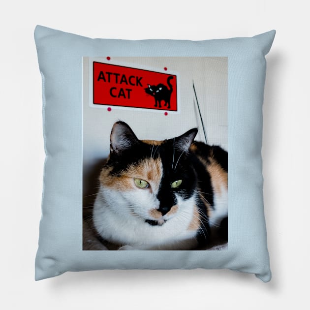 Maneater Pillow by thadz