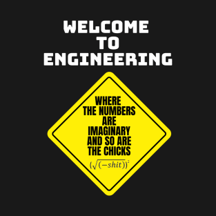 Mathematics and Engineering T-Shirt