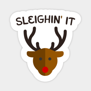 Sleighing it Magnet