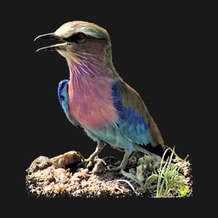 Roller - Bird in Africa T-Shirt