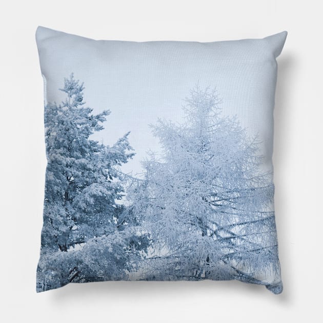 Winter wonderland Pillow by Purrfect