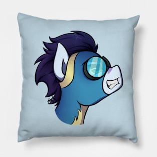 Soarin' Pillow