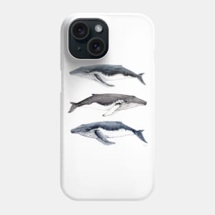 Humpback whales Phone Case