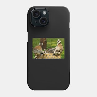 Lemurs Phone Case