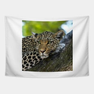 Aqua_Leopard_001_by_JAMFoto Tapestry