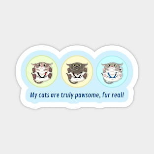 my cats are truly pawsome! Magnet